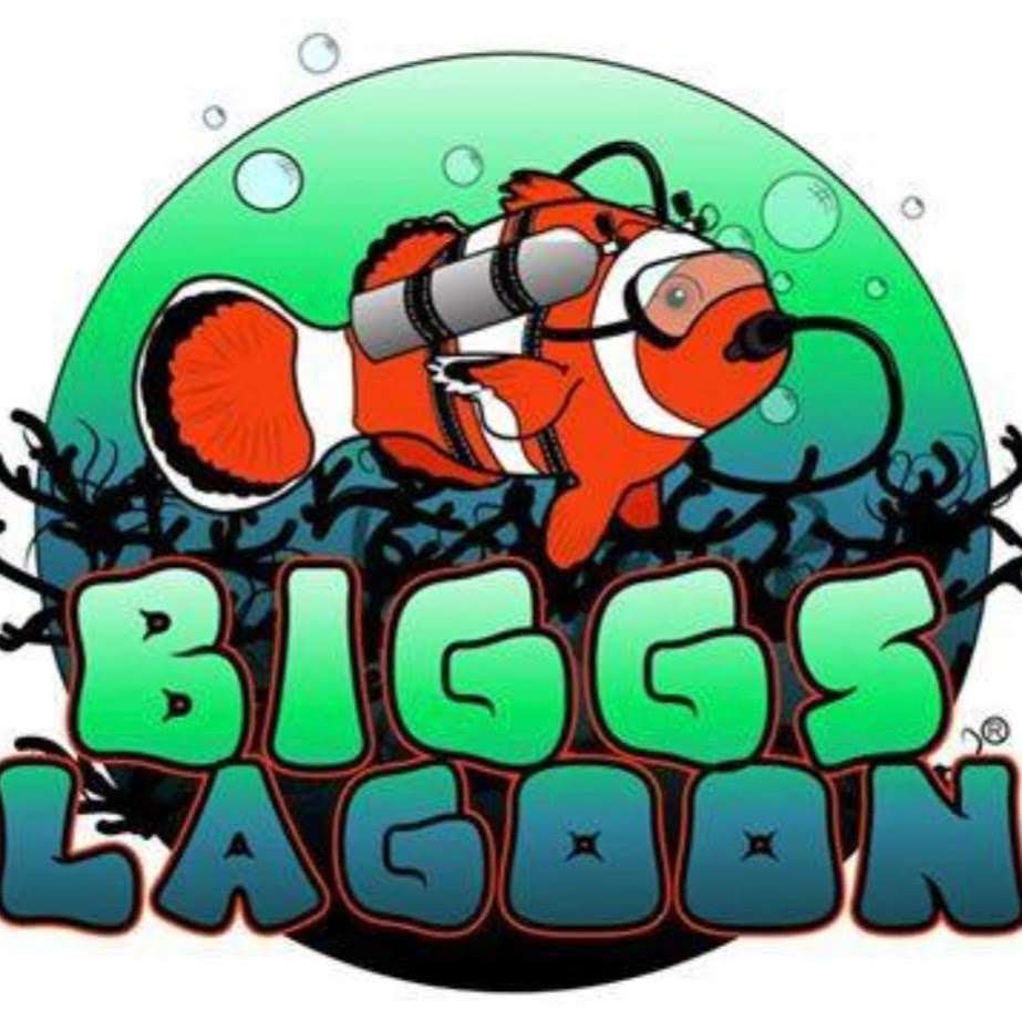 Biggslagoon | 5878 Merganser Ct, Frederick, CO 80504, USA | Phone: (720) 404-3276
