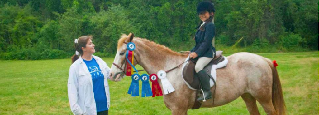 Bridge Equestrian | 19907 Aldine Westfield Rd, Humble, TX 77338, USA | Phone: (281) 979-6151