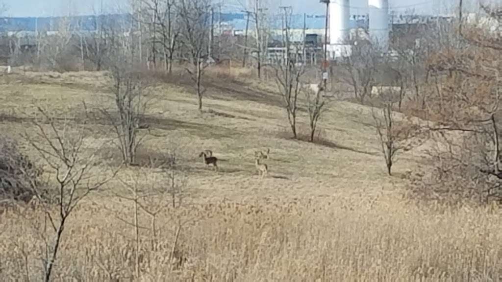 Freshkills Park | Staten Island, NY 10314, USA | Phone: (212) 602-5374