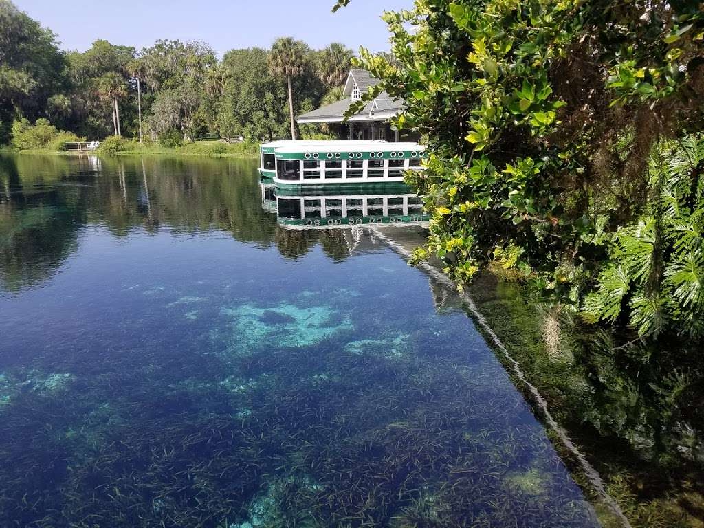 Glass Bottom Boat Tours at Silver Springs | 5656 E Silver Springs Blvd, Silver Springs, FL 34488, USA | Phone: (352) 261-5840