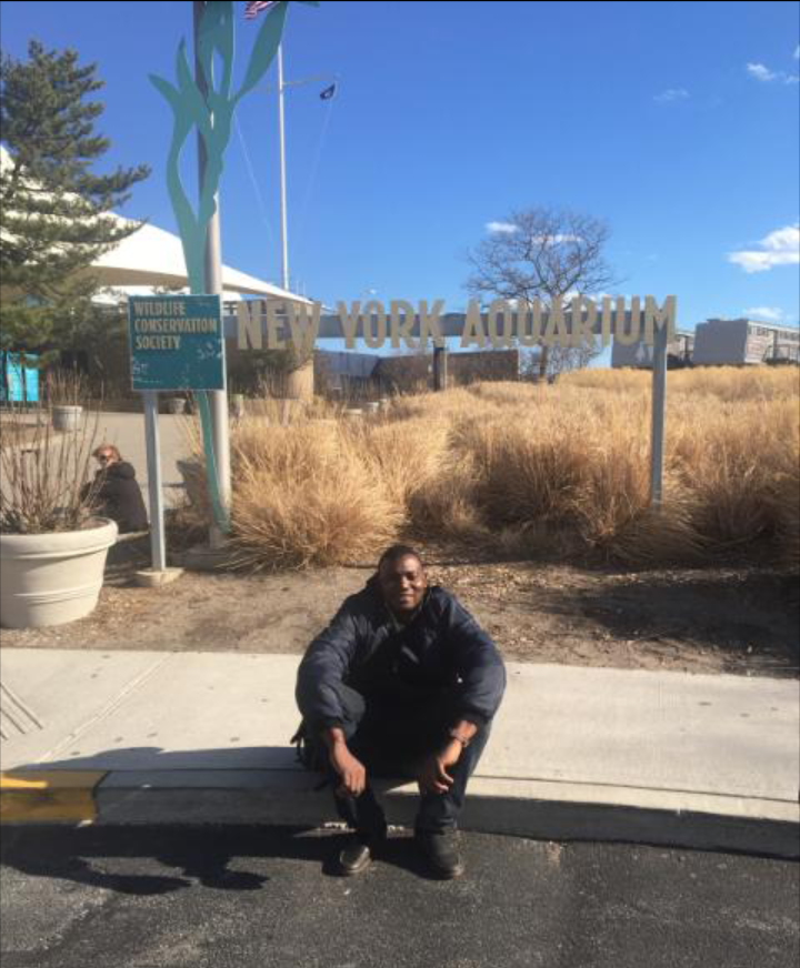 WildPedia | 44 Wyndmoor Pl, Gwynn Oak, MD 21207, USA | Phone: (443) 813-4181