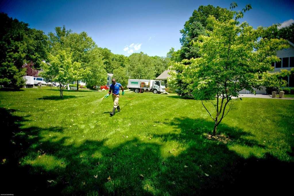 SavATree - Tree Service & Lawn Care | 1 Greentown Rd, Buchanan, NY 10511, USA | Phone: (914) 402-4521