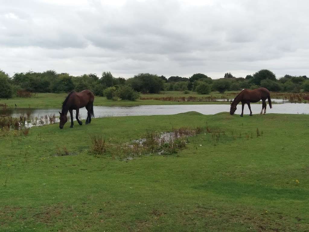 Eastbrookend Country Park | Dagenham RM7 0SS, UK | Phone: 020 8227 2332