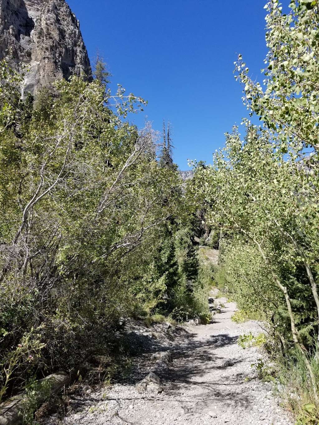 Cathedral Rock Group Picnic area | Mt Charleston, NV 89124, USA | Phone: (702) 872-5486