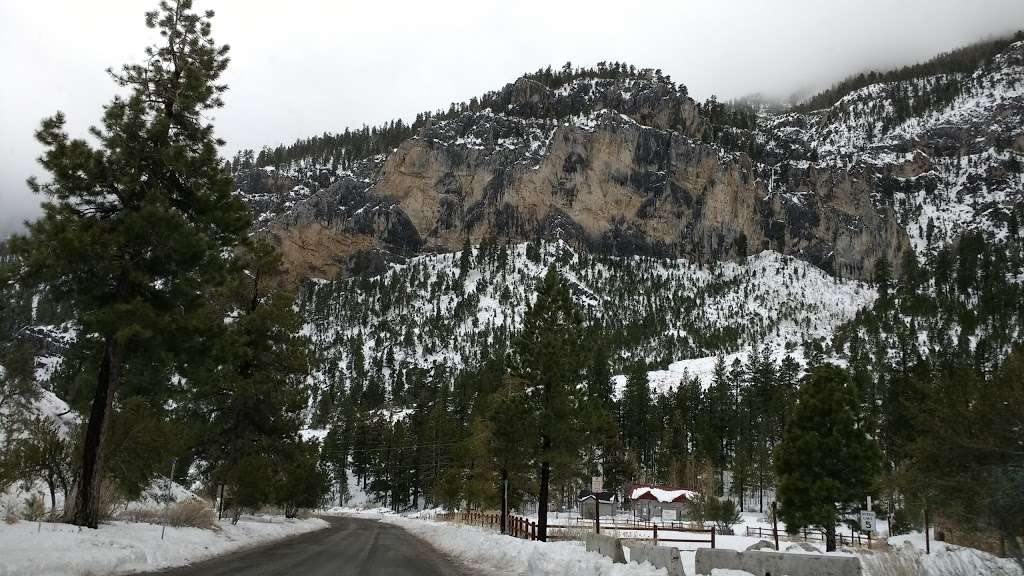 Trail Canyon Trail Head | Trail Canyon, Mt Charleston, NV 89124, USA | Phone: (702) 872-5486