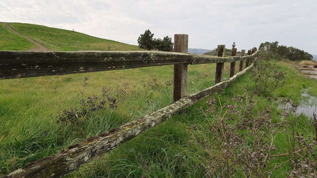 Bedwell Bayfront Park | 1600 Marsh Rd, Menlo Park, CA 94025, USA | Phone: (650) 330-2222