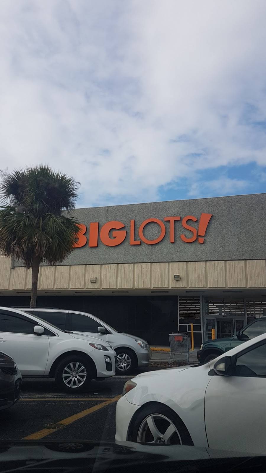 Big Lots | 2311 W Vine St, Kissimmee, FL 34741, USA | Phone: (407) 846-8894