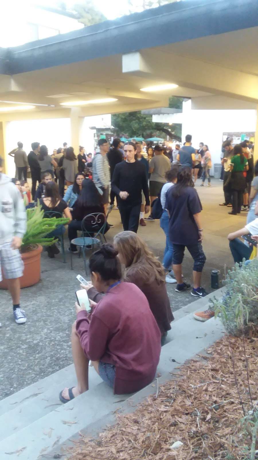 Stevenson Coffee House | Cowell-Stevenson Road, Santa Cruz, CA 95064, USA | Phone: (831) 459-2433