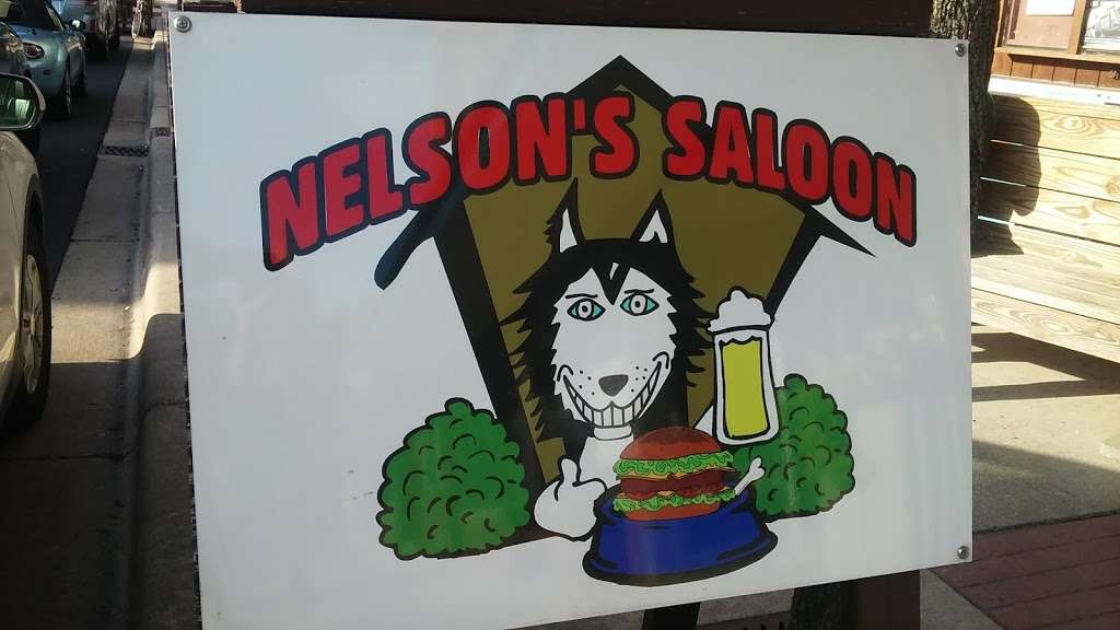 Nelson Saloon | 18 N Elm St, Three Oaks, MI 49128, USA | Phone: (269) 756-6161