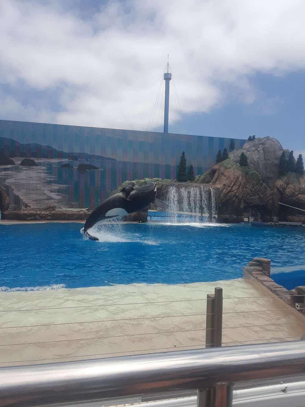 Dolphin Amphitheater | San Diego, CA 92109, USA