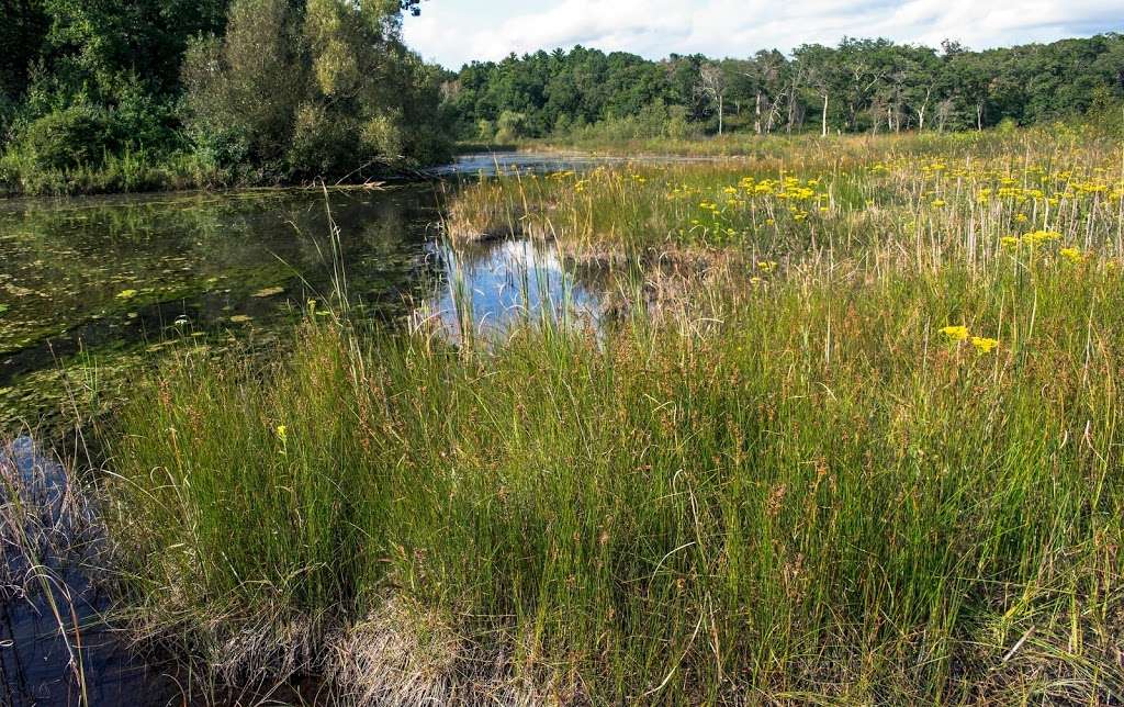 Lulu Lake State Natural Area | East Troy, WI 53120, USA | Phone: (608) 266-0394