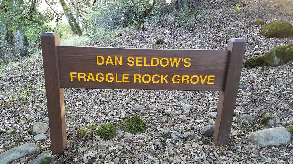 Dan Seldows Fraggle Rock Grove | Ridge Trail, Los Gatos, CA 95033