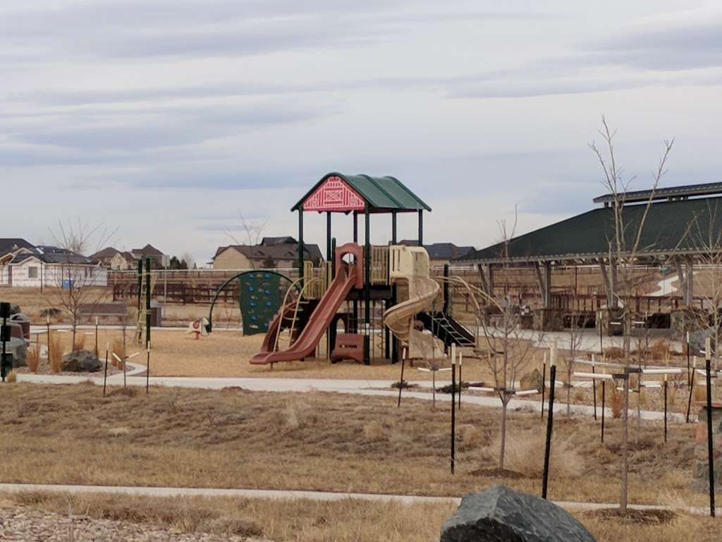 Pelican Park | Windsor, CO 80550, USA