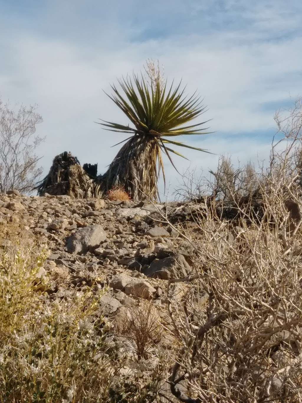 Gilmore Cliff Shadows | 10765 W Alexander Rd, Las Vegas, NV 89129, USA