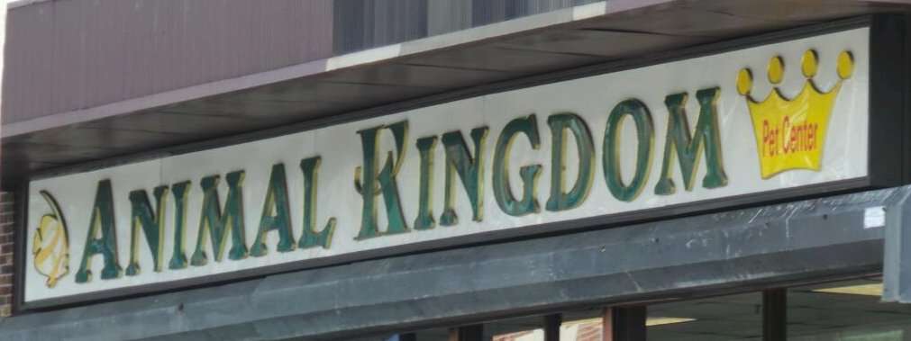 Animal Kingdom | 1547 Arthur Kill Rd, Staten Island, NY 10312, USA | Phone: (718) 227-9453