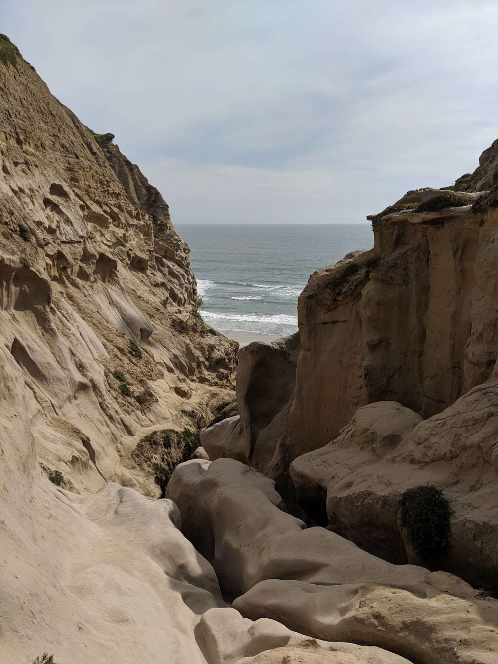 La Jolla Trail | 9883 La Jolla Farms Rd, La Jolla, CA 92037, USA