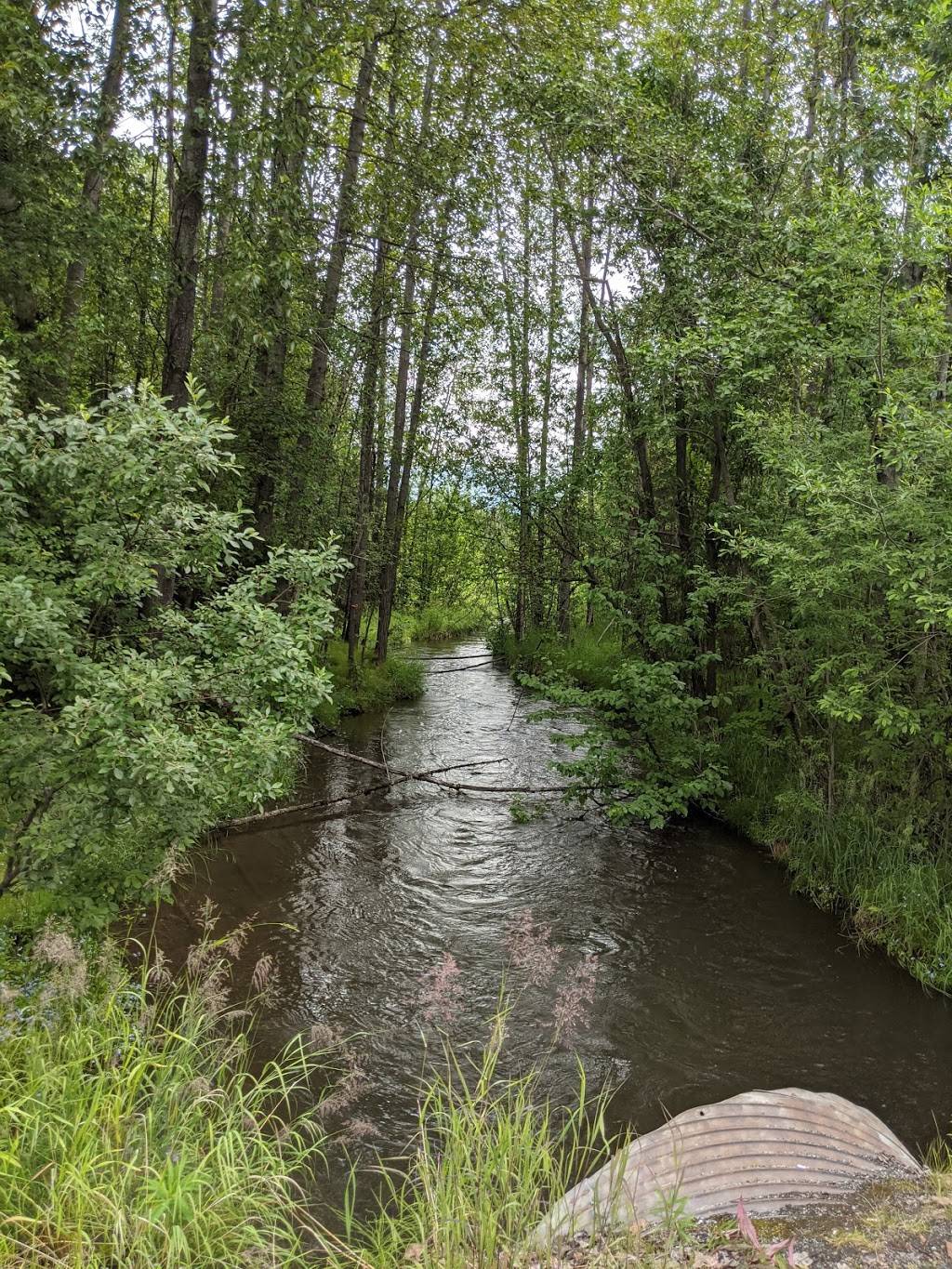 Tikishla Park | 3018 E 20th Ave, Anchorage, AK 99508, USA | Phone: (907) 343-4355