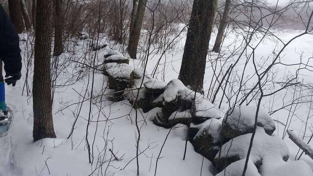 Great Meadows Wildlife Refuge, Billerica | Great Meadows Wildlife Refuge,, Billerica, MA 01821, USA