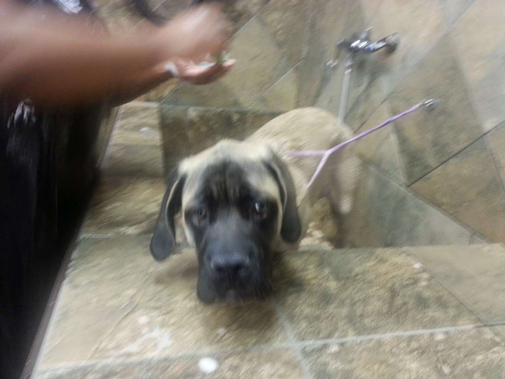 Pet Valu | 1308 Main Chapel Way, Gambrills, MD 21054, USA | Phone: (410) 451-1585