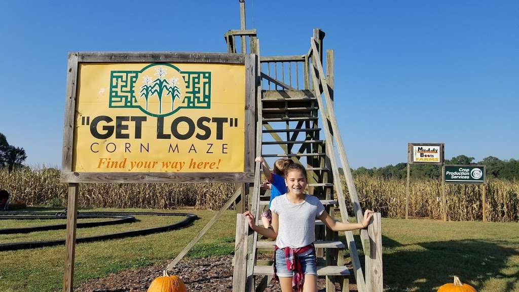 Get Lost Corn Maze. | 20935 NC-73, Albemarle, NC 28001, USA | Phone: (704) 791-6950