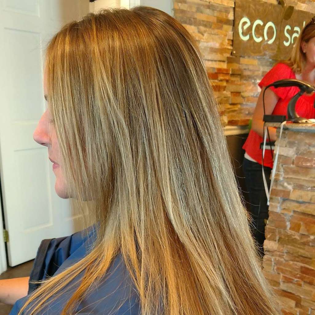 Karen Hockaday- Eco Salon | 9233 Park Meadows Dr, Lone Tree, CO 80124, USA | Phone: (303) 513-3031