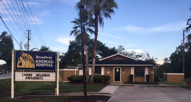 Broadway Animal Hospital | 886 Chapel St, Oviedo, FL 32765, USA | Phone: (407) 365-7297