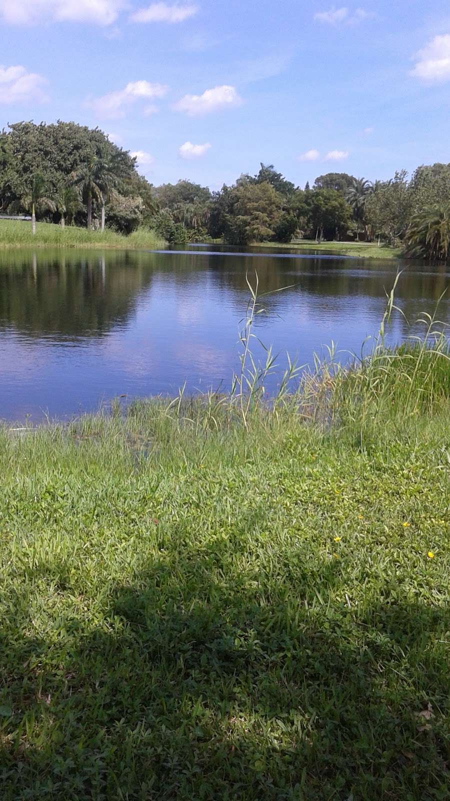 Dreher Dog Park | Dreher Trail S, West Palm Beach, FL 33405, USA