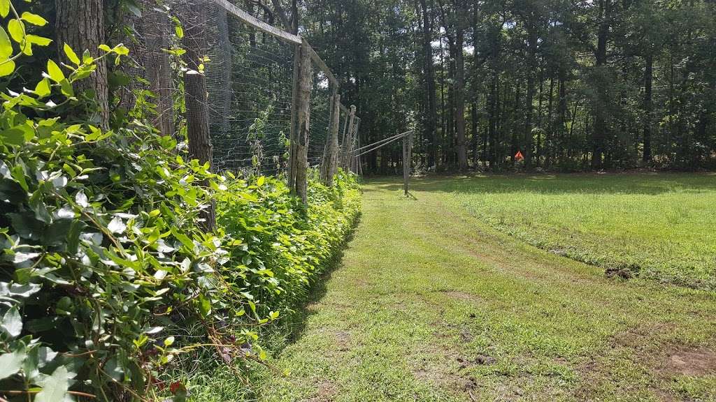 Hammonton Lake Park Trail Hammonton Lake Park Trail, Hammonton, NJ 08037