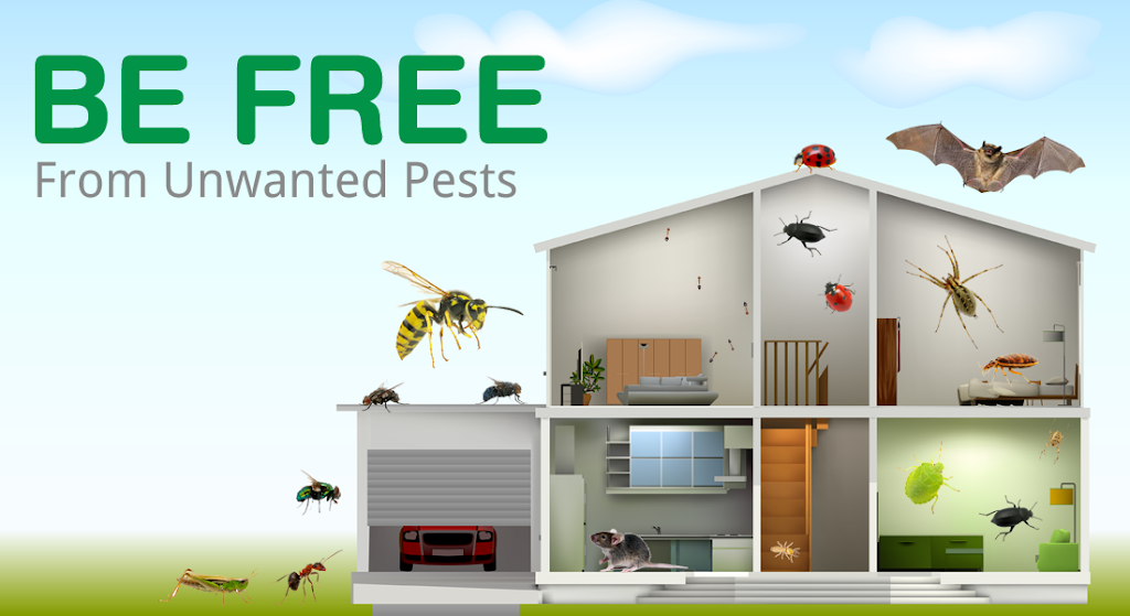 Freedom Pest Control | 61 W Main St, Merrimac, MA 01860, USA | Phone: (877) 737-8755