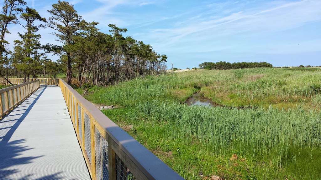 Cape Henlopen State Park | 15099 Cape Henlopen Dr, Lewes, DE 19958, USA | Phone: (302) 645-8983