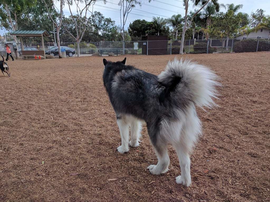 Ann D. LHeureux Memorial Dog Park | Carlsbad Village Dr, Carlsbad, CA 92008, USA | Phone: (760) 602-4680