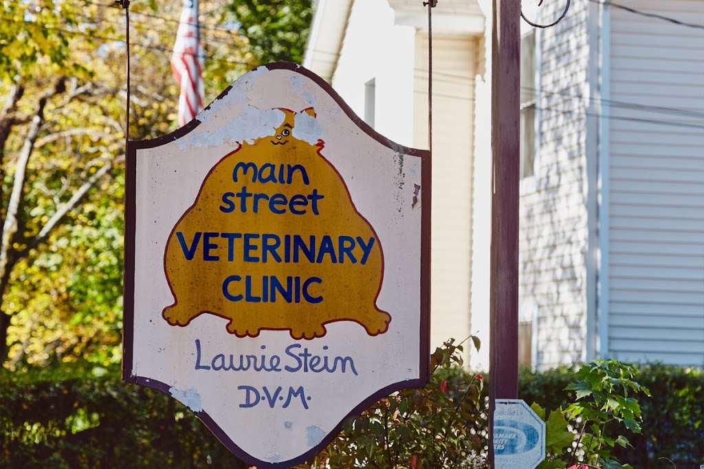 Main Street Veterinary Clinic | 350 Hudson St, Cornwall-On-Hudson, NY 12520 | Phone: (845) 534-3644