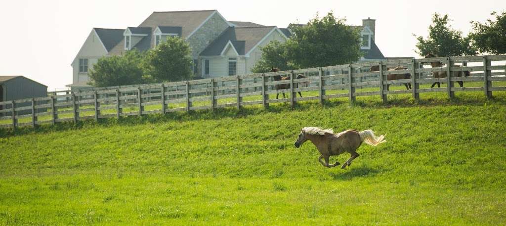 Nookside Stables | 500 Landisville Rd, Manheim, PA 17545, USA | Phone: (717) 618-8178