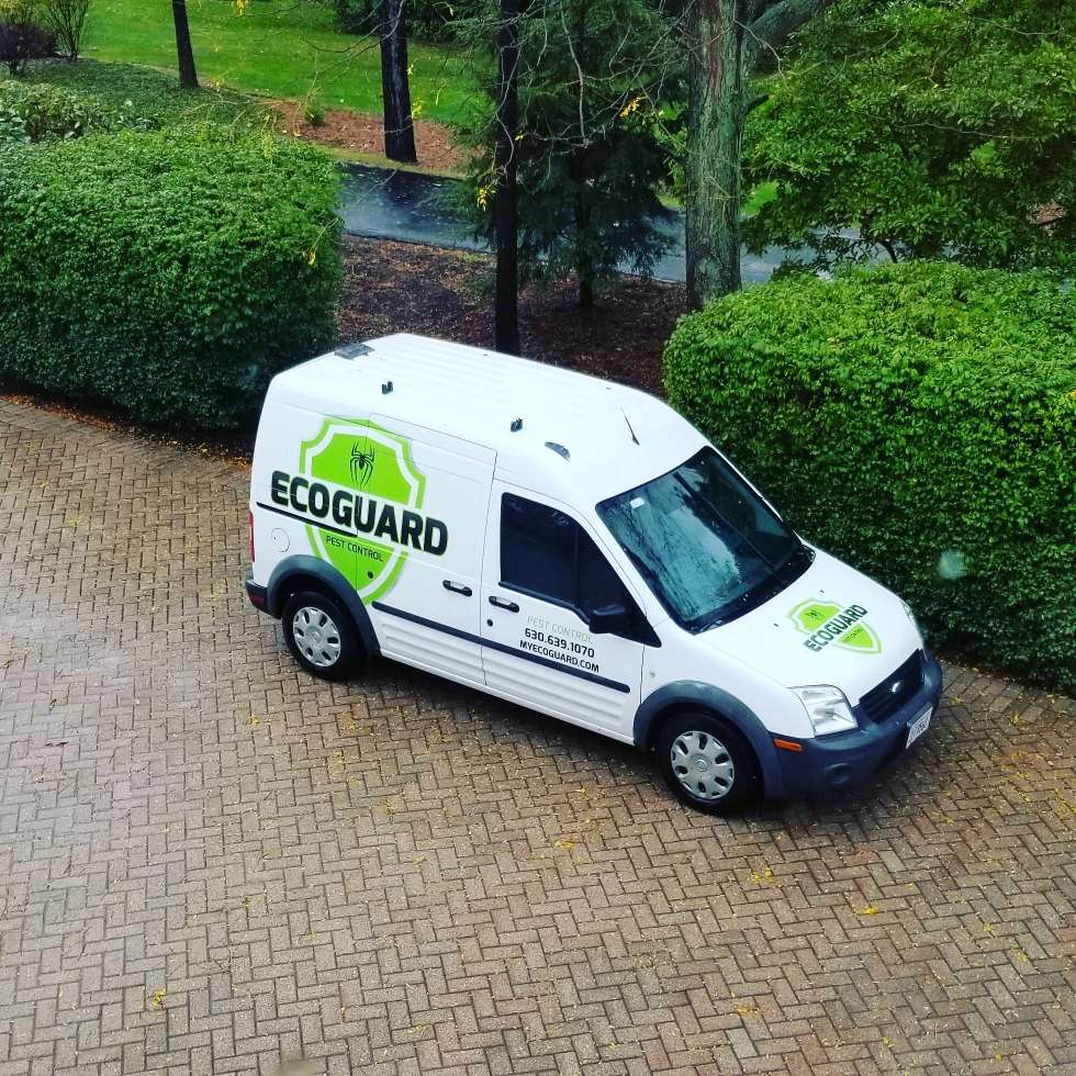 EcoGuard Pest Control | 28W731 Donald Ave, West Chicago, IL 60185, USA | Phone: (630) 251-5000