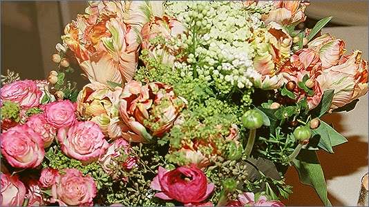 Chapmans Florist, Greenhouse and Garden Center | 58 Hart St, Beverly, MA 01915, USA | Phone: (978) 927-0153