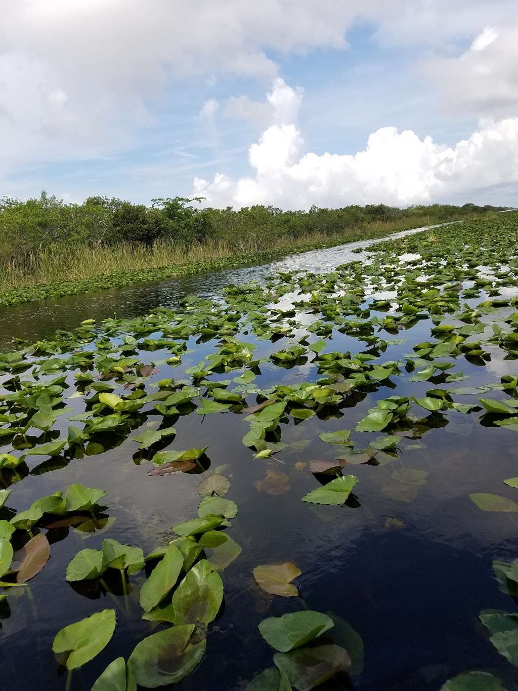 Everglades Holiday Park | 21940 Griffin Rd, Fort Lauderdale, FL 33332, USA | Phone: (954) 434-8111