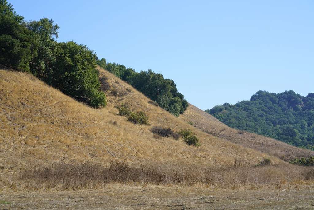 Briones Regional Park | 5363 Alhambra Valley Rd, Martinez, CA 94553 | Phone: (888) 327-2757