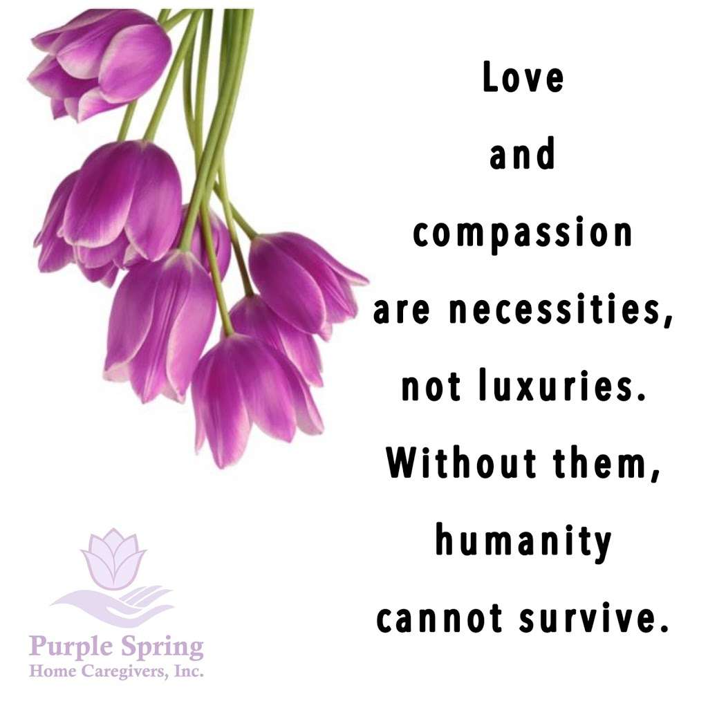 Purple Spring Home Caregivers, Inc. | 9944 S Roberts Rd #111, Palos Hills, IL 60465 | Phone: (630) 999-4655