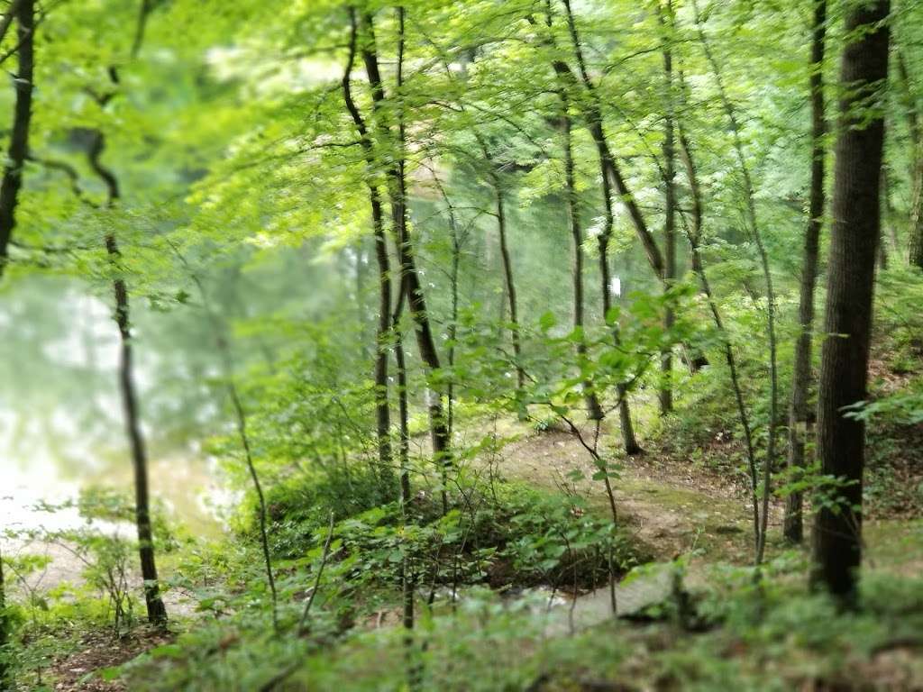 Hunsicker's Grove 9350 Longswamp Rd, Mertztown, PA 19539, USA