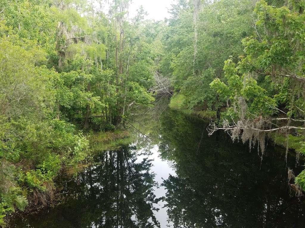 Shingle Creek Regional Park - Babb landing | 2491 Babb Rd, Kissimmee, FL 34746, USA