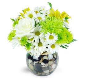 Fletcher Heights Florist | 8194 W Deer Valley Rd b100, Peoria, AZ 85382, USA | Phone: (623) 537-2211