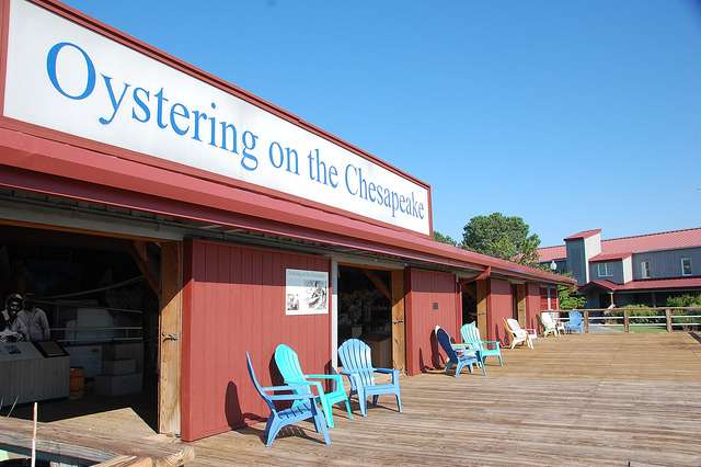 Oystering on the Chesapeake, CBMM | 213 N Talbot St, St Michaels, MD 21663, USA | Phone: (410) 745-2916