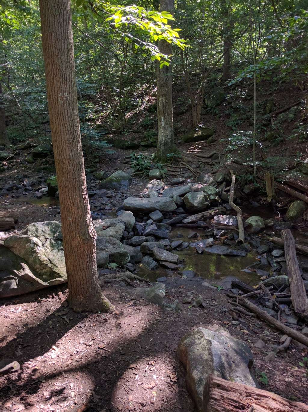 Snickers Gap - Appalachian Trailhead | Bluemont, VA 20135, USA