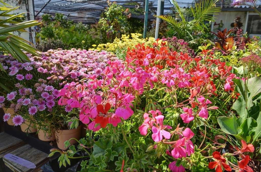 Campos Materials Garden Center (Steves Valley Nursery) | 28221 Kalmia Ave, Moreno Valley, CA 92555, USA | Phone: (951) 242-8080