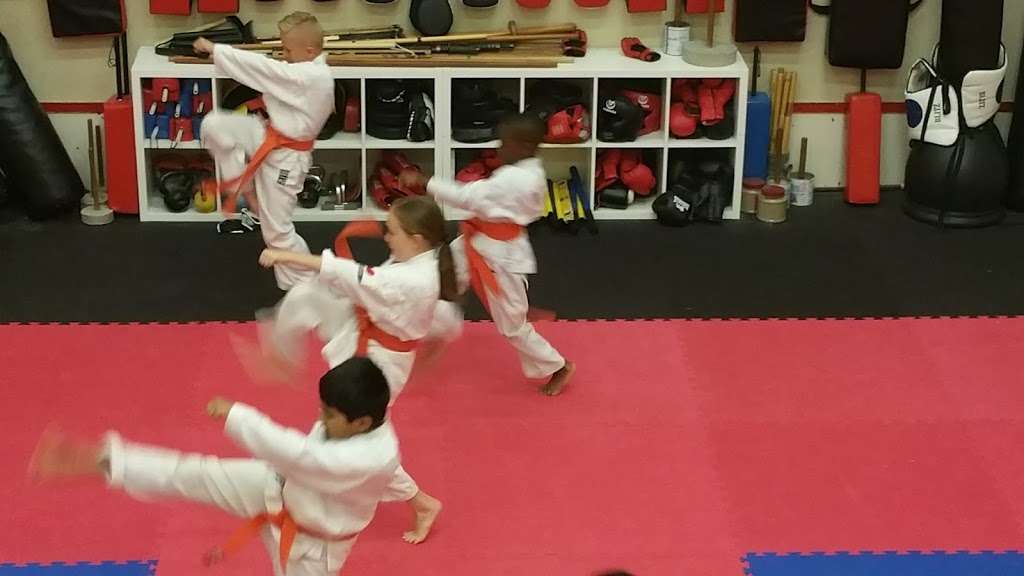 Shinseikyu Karate Academy | Paringdon Sports Club, Paringdon Rd, Harlow CM19 4QT, UK | Phone: 07767 452003