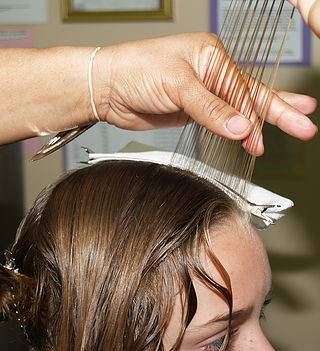 Help For Lice Indy | 1085 Fox Hill Dr, Indianapolis, IN 46228, USA | Phone: (317) 400-4864