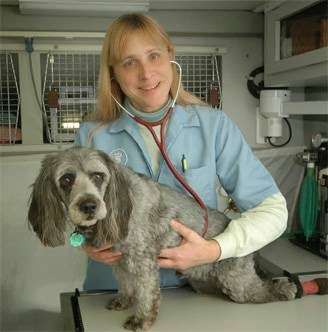 Convenient Care Mobile Veterinary Service | 509 Buckingham Dr, Stevensville, MD 21666 | Phone: (410) 643-7565