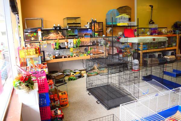 Used Pet Supply & Trading Co. | 2209 N Hercules Ave, Clearwater, FL 33763, USA | Phone: (727) 509-4040