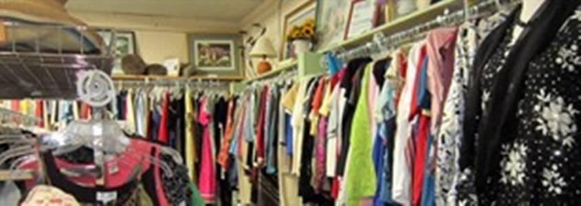 HALO Animal Rescue Thrift Boutique | 11649 Cave Creek Rd F, Phoenix, AZ 85020, USA | Phone: (602) 274-3444