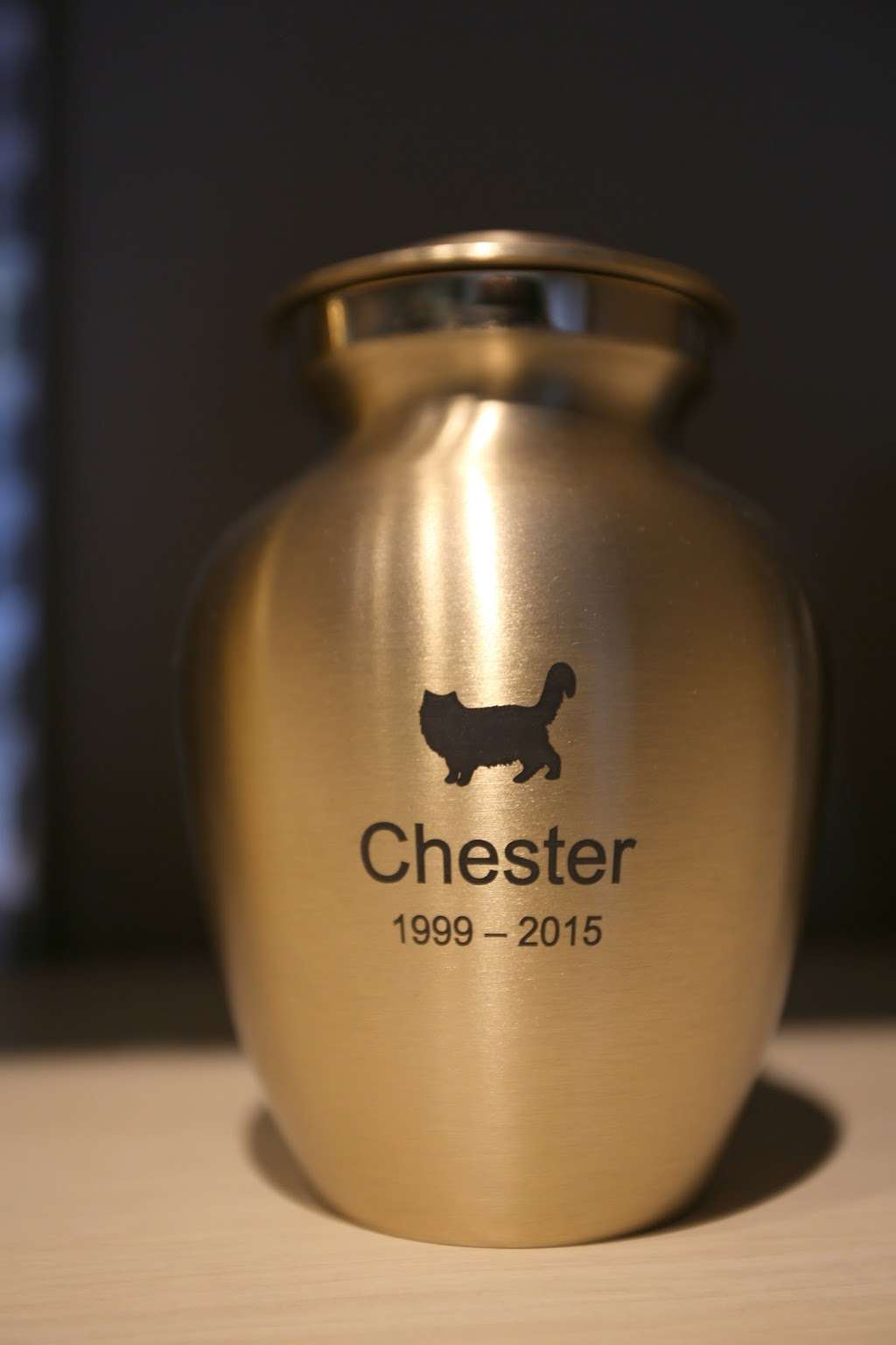 Paws Pet Cremation | 3537 E 16th St, Los Angeles, CA 90023, USA | Phone: (855) 729-7738